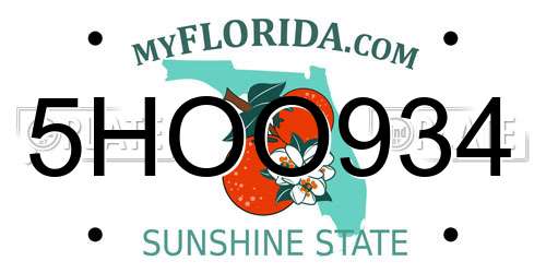 5HOO934 Florida License Plate