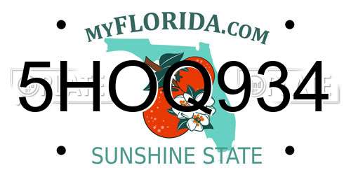 5HOQ934 Florida License Plate