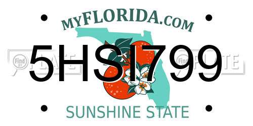 5HSI799 Florida License Plate