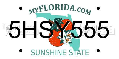 5HSY555 Florida License Plate