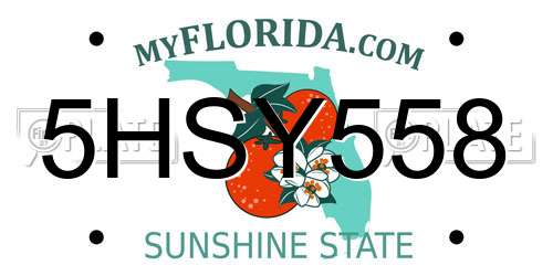 5HSY558 Florida License Plate