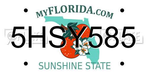 5HSY585 Florida License Plate