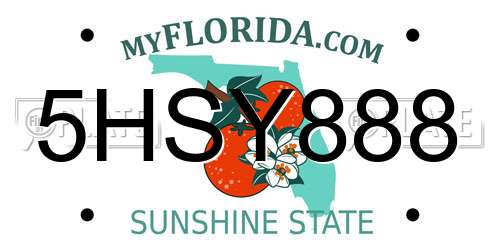 5HSY888 Florida License Plate
