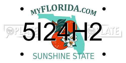 5I24H2 Florida License Plate