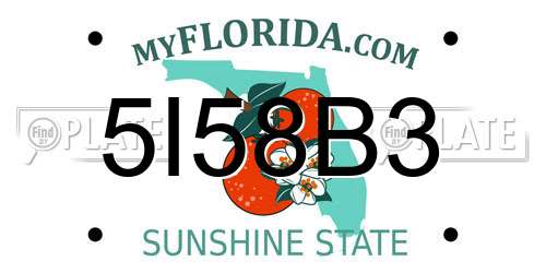 5I58B3 Florida License Plate