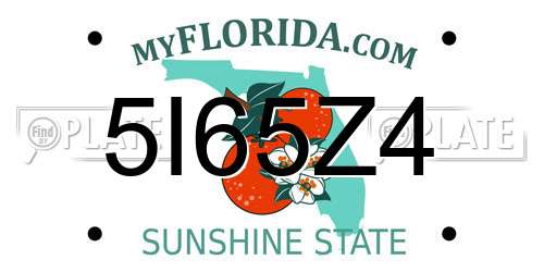 5I65Z4 Florida License Plate