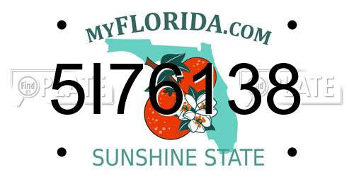 5I76138 Florida License Plate