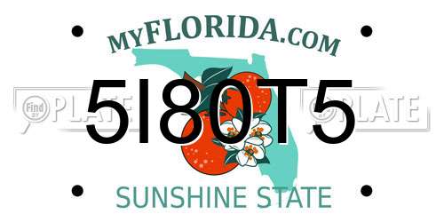 5I80T5 Florida License Plate