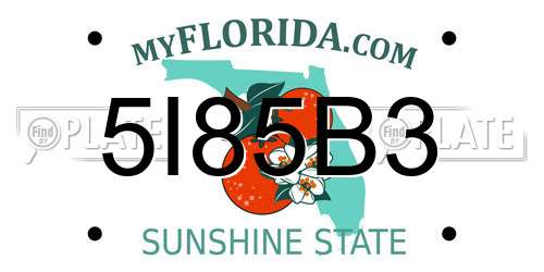 5I85B3 Florida License Plate