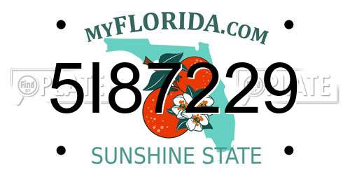 5I87229 Florida License Plate