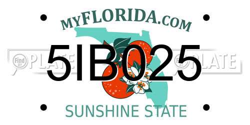 5IB025 Florida License Plate