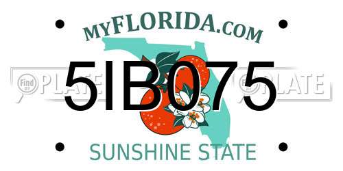 5IB075 Florida License Plate
