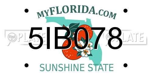5IB078 Florida License Plate