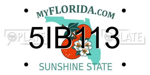 5IB113 Florida License Plate