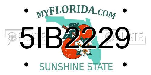 5IB2229 Florida License Plate