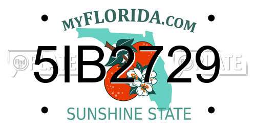 5IB2729 Florida License Plate