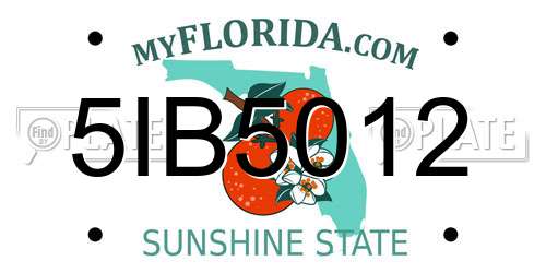 5IB5012 Florida License Plate