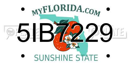 5IB7229 Florida License Plate