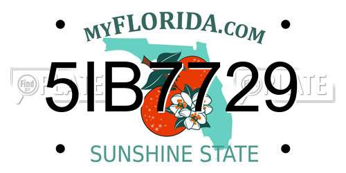 5IB7729 Florida License Plate