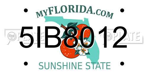 5IB8012 Florida License Plate