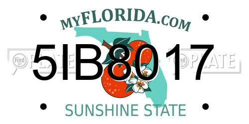 5IB8017 Florida License Plate