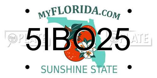 5IBO25 Florida License Plate