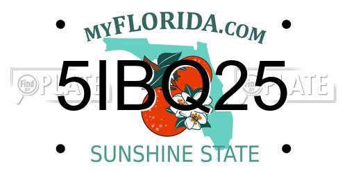 5IBQ25 Florida License Plate