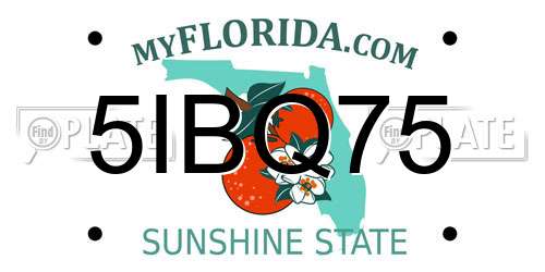 5IBQ75 Florida License Plate
