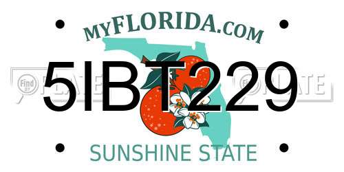 5IBT229 Florida License Plate