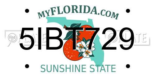 5IBT729 Florida License Plate
