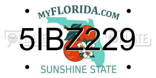 5IBZ229 Florida License Plate