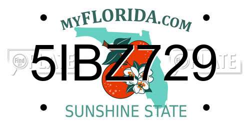 5IBZ729 Florida License Plate