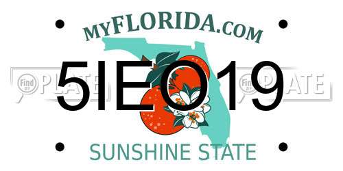 5IEO19 Florida License Plate