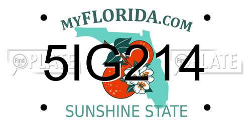 5IG214 Florida License Plate