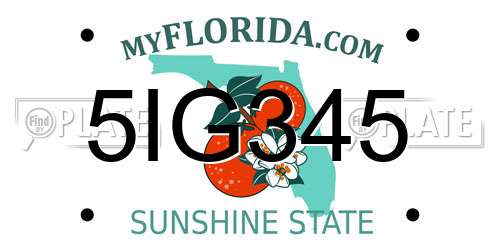 5IG345 Florida License Plate
