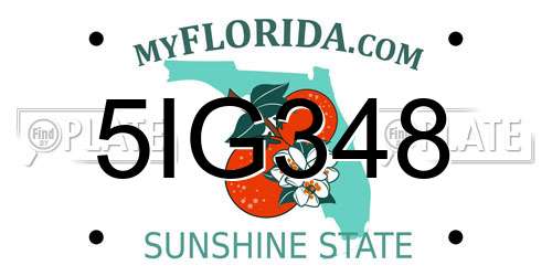 5IG348 Florida License Plate