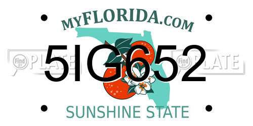 5IG652 Florida License Plate