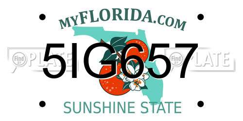 5IG657 Florida License Plate