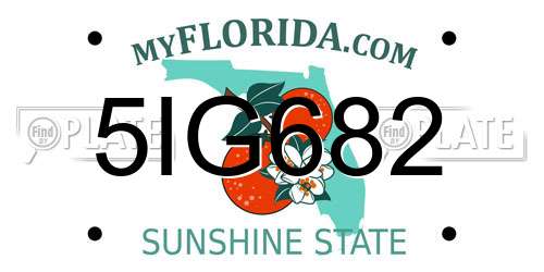 5IG682 Florida License Plate