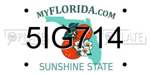 5IG714 Florida License Plate
