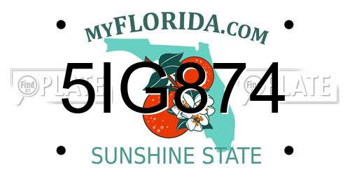 5IG874 Florida License Plate