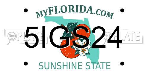 5IGS24 Florida License Plate