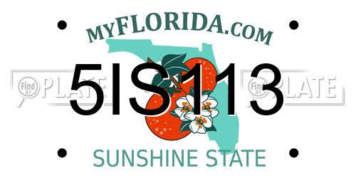 5IS113 Florida License Plate