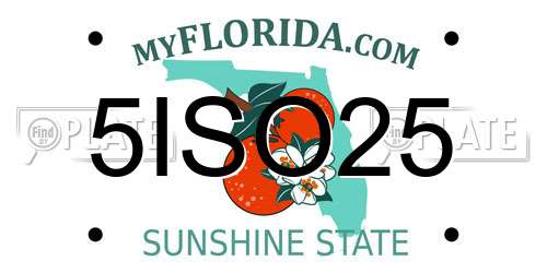 5ISO25 Florida License Plate