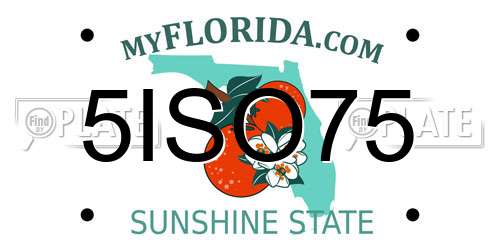 5ISO75 Florida License Plate