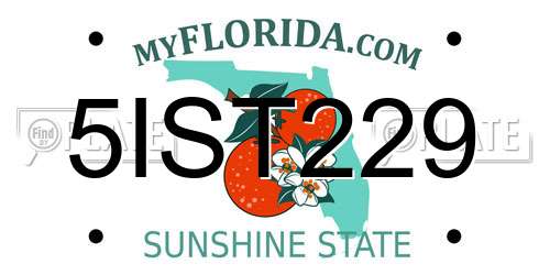 5IST229 Florida License Plate