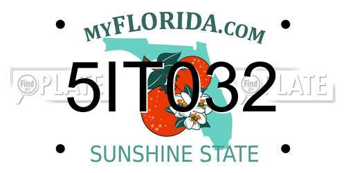 5IT032 Florida License Plate
