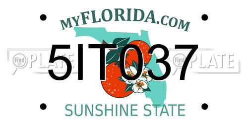 5IT037 Florida License Plate