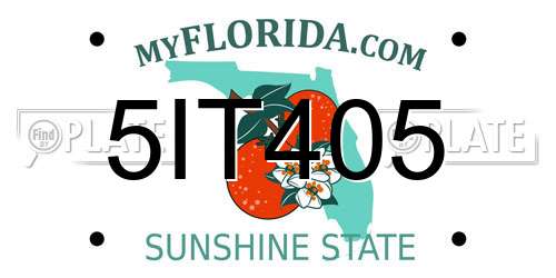 5IT405 Florida License Plate