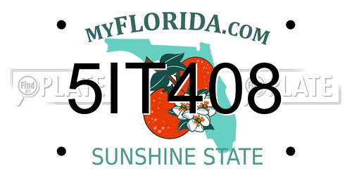 5IT408 Florida License Plate